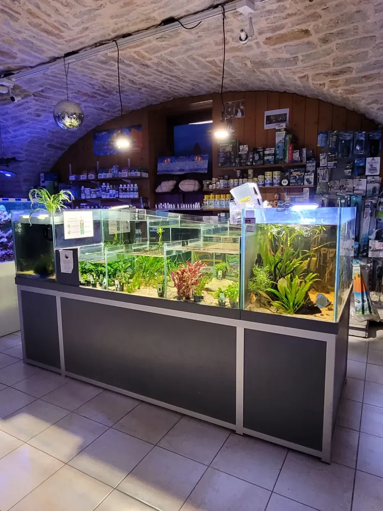 aquarium-sur-mesure