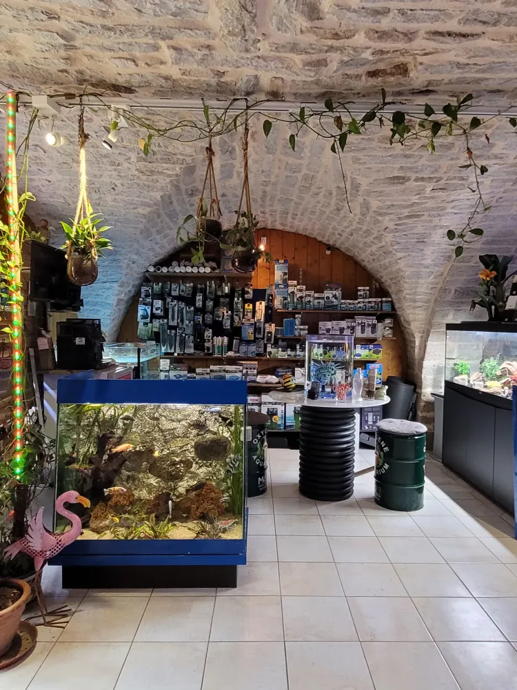 oxygene-aquarium-1