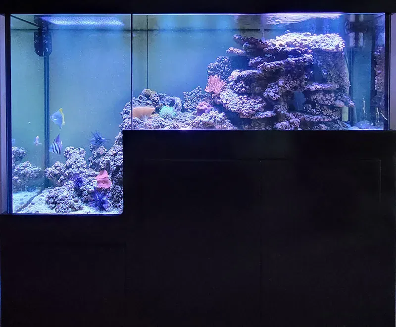 Aquarium noir en escalier